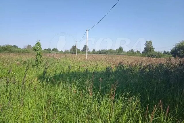 снт Поле чудес-2 фото