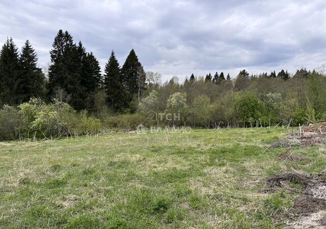 рп Скоропусковский 59 км, д. Маньково, Ярославское шоссе фото