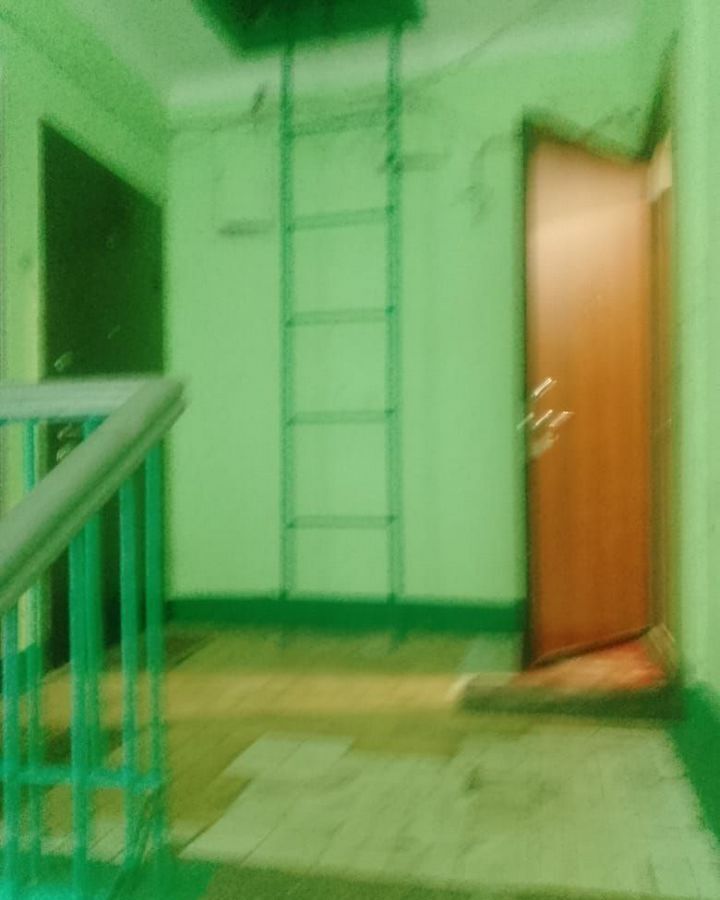комната городской округ Богородский г Электроугли ул Маяковского 5 фото 16