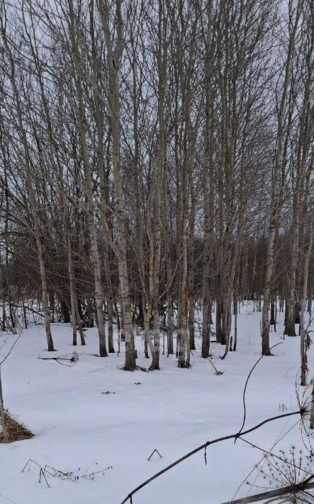 земля г Ярославль р-н Заволжский Очапки ул Голубятная фото 4