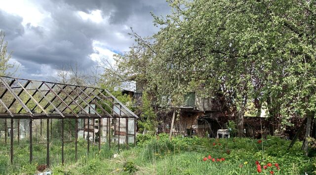 снт Зеленая Горка фото