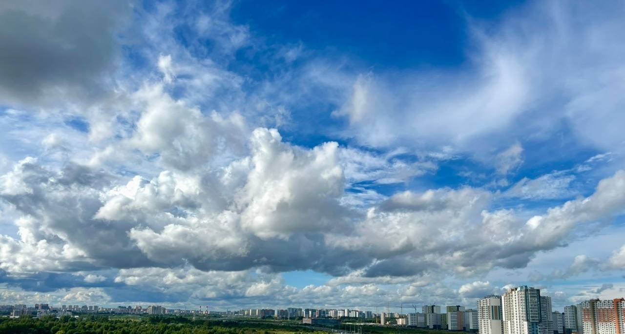 квартира г Санкт-Петербург метро Девяткино ул Чарушинская 22к/1 фото 25