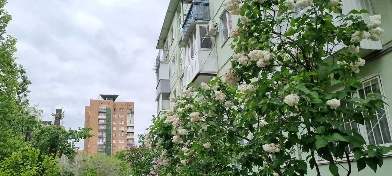 квартира г Волгоград пр-кт им. В.И. Ленина 195 Старый Горный м-н фото 1