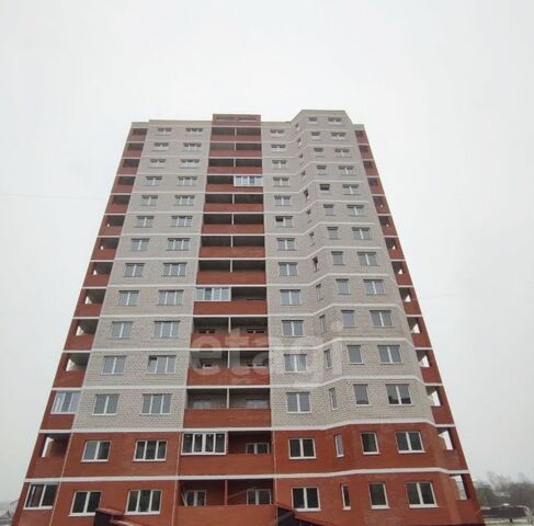 ул Дружбы 8к/1 фото