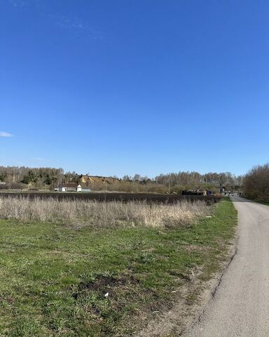 Селезнёвский, Совхоз фото