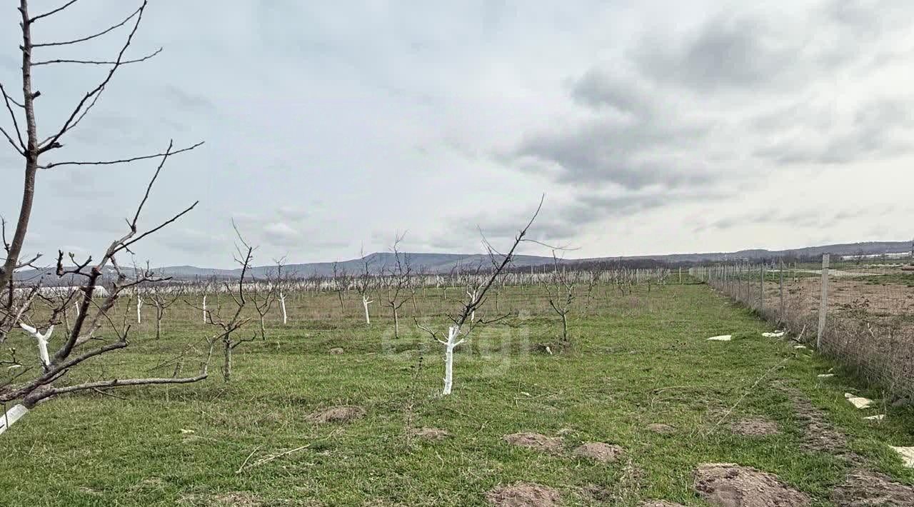 земля г Новороссийск ст-ца Раевская фото 8