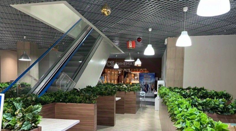 свободного назначения г Санкт-Петербург метро Приморская просп. Малый Васильевского острова, 88к 2 фото 4