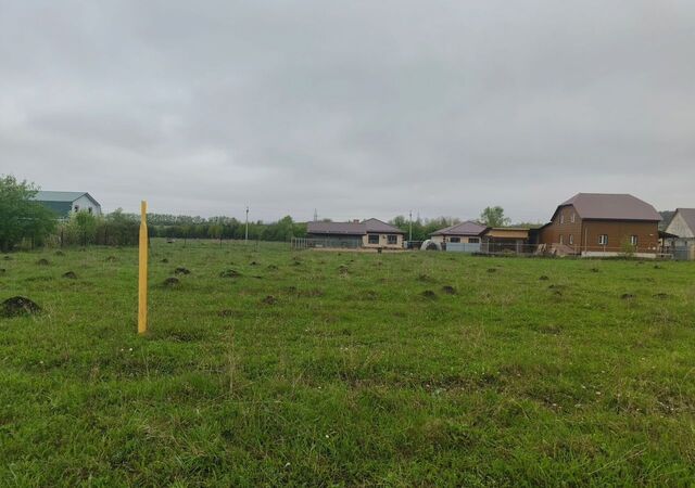земля пер Парковый фото