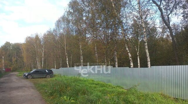 9, Бор городской округ фото