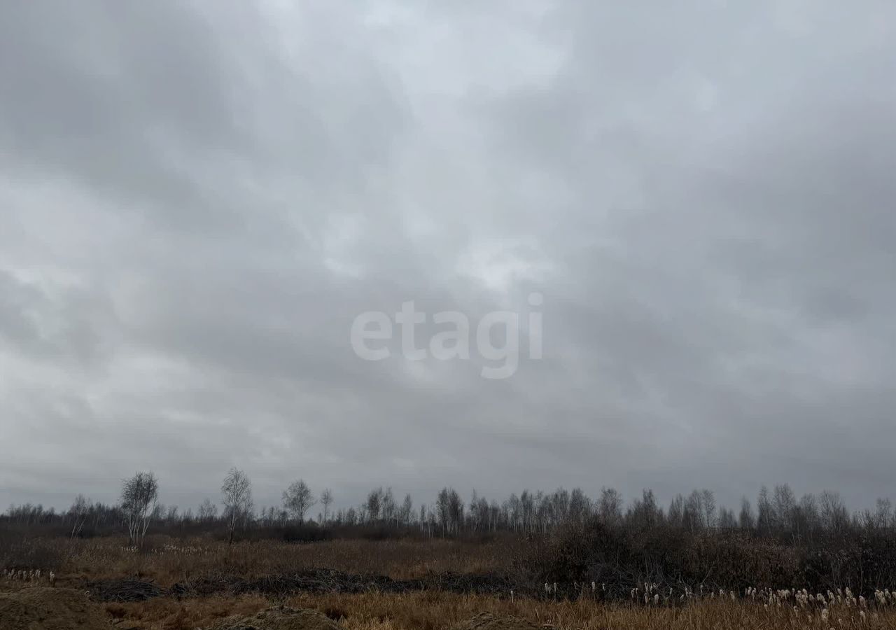 земля г Тюмень р-н Ленинский фото 3
