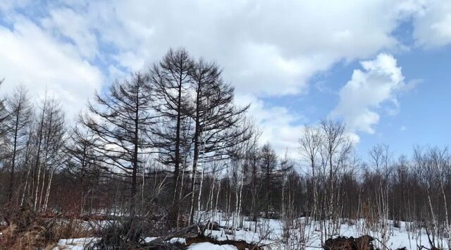 кв-л Весточка ул Охотская Анивский городской округ фото