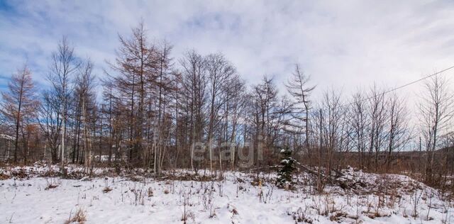 ул Охотская Анивский городской округ фото