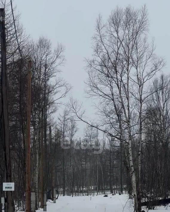 земля г Южно-Сахалинск кв-л Весточка ул Охотская Анивский городской округ фото 4