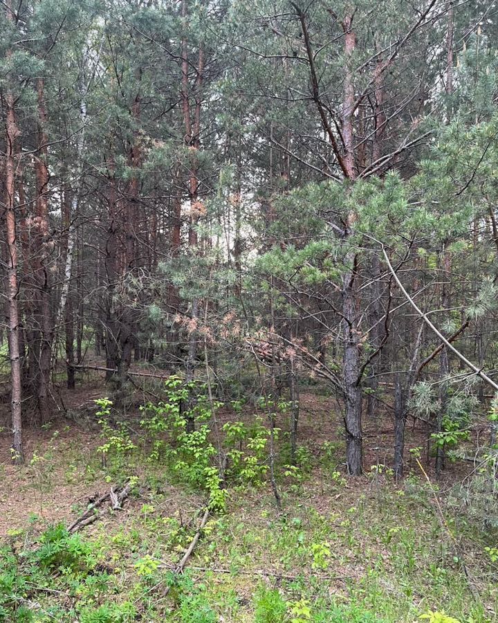 земля г Воронеж дп НСТ Сувенир р-н Железнодорожный Каштановая ул фото 8