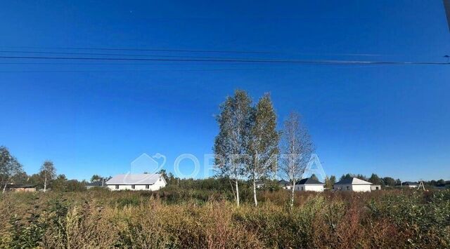 р-н Центральный снт Ясень ул. Первая фото