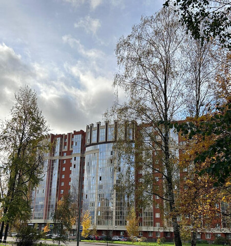 ул Оборонная 37/1 Девяткино, Центральный м-н фото