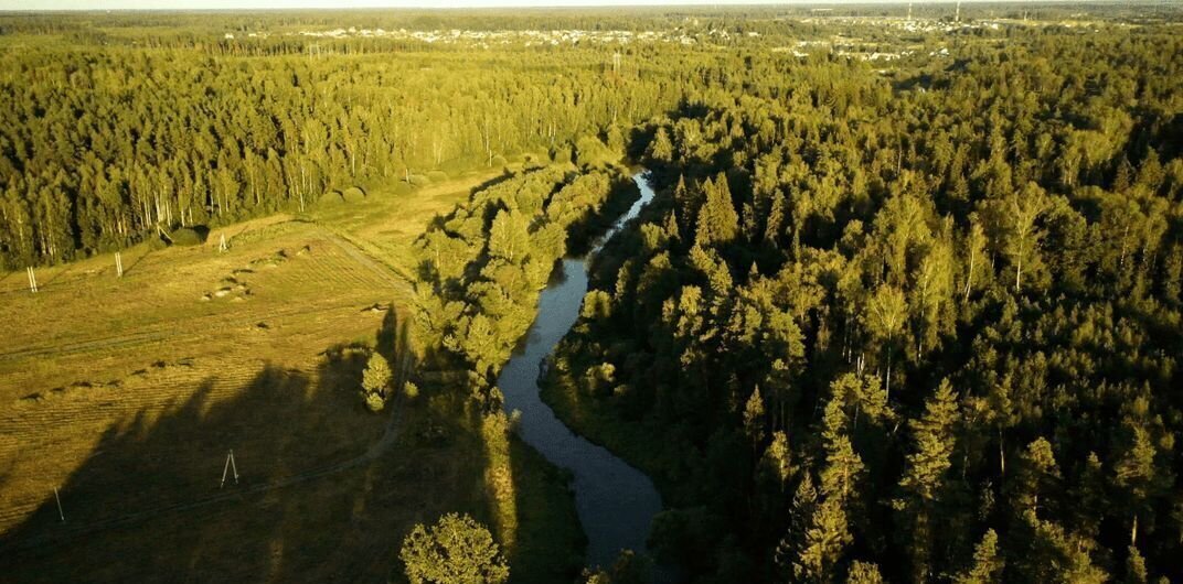 земля городской округ Пушкинский г Красноармейск 37 км, Ярославское шоссе фото 4