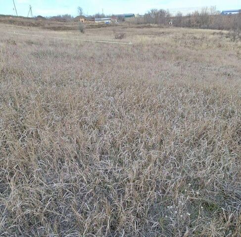 земля Царицынское с/пос фото