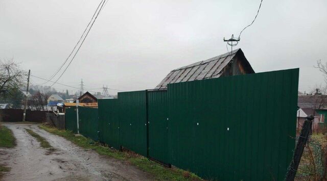 Ботаническая снт Дружба 65 фото