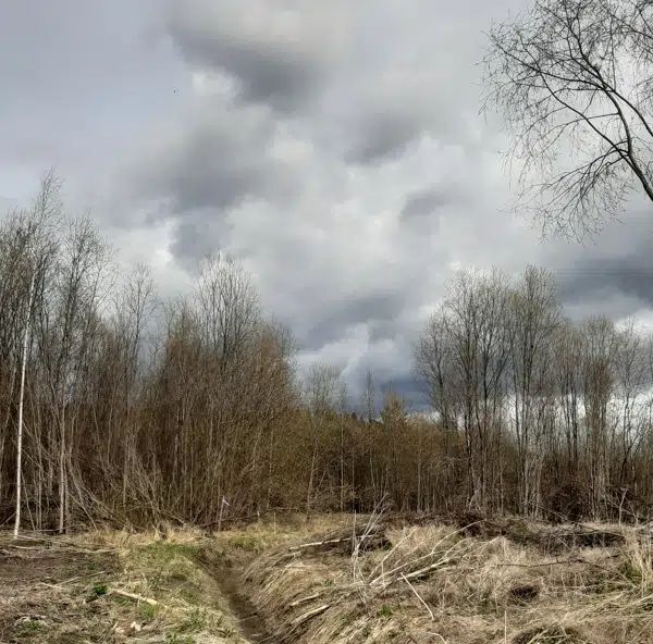 земля г Сортавала п Хюмпеля ул Центральная Сортавальский муниципальный округ фото 6