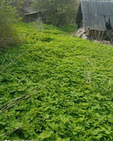земля ул Леднева фото