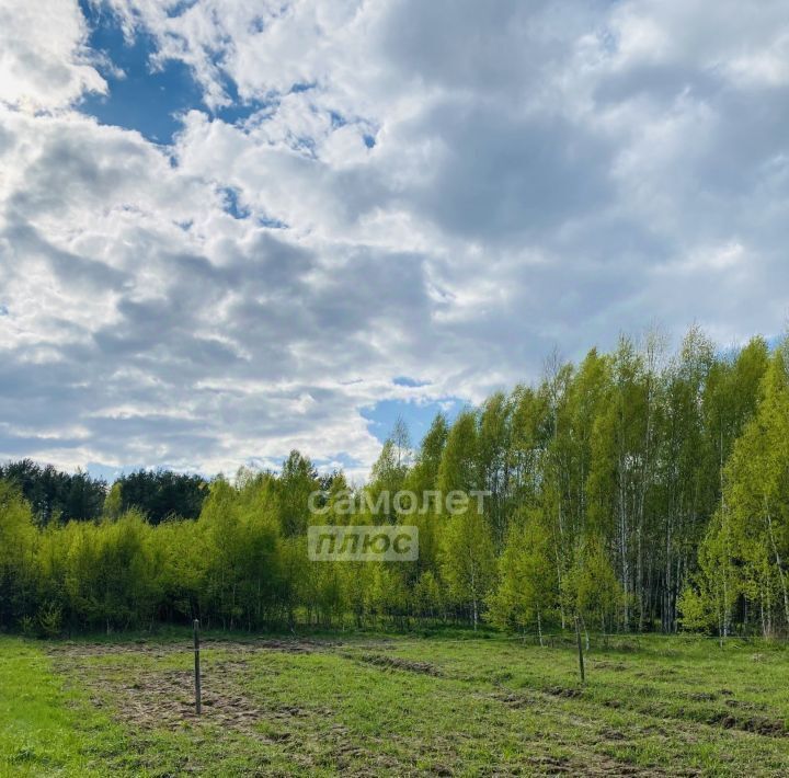 земля г Бор д. Бузуйки, 6 фото 12