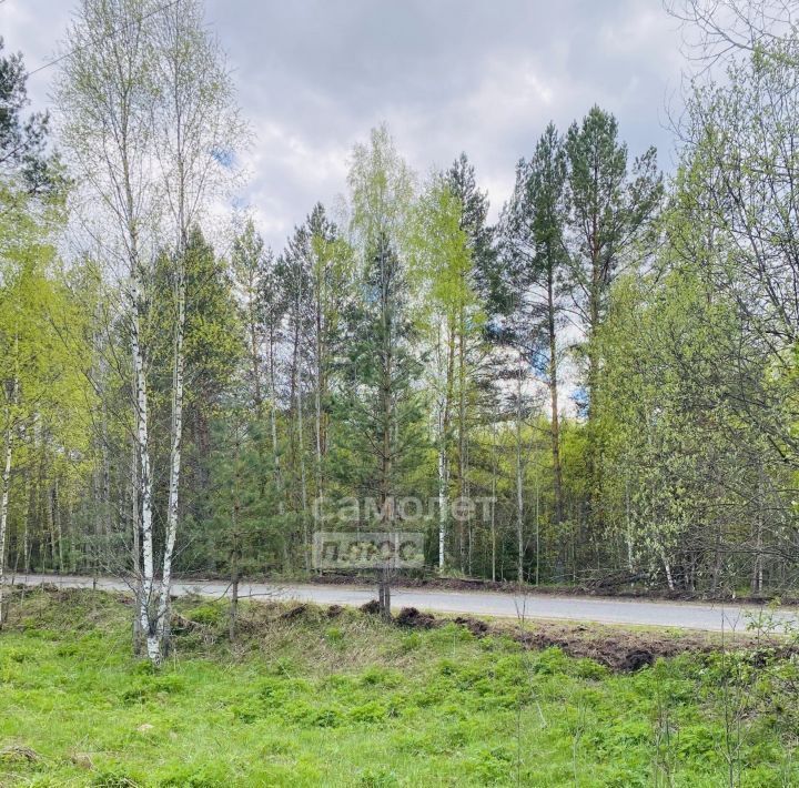 земля г Бор д. Бузуйки, 6 фото 18