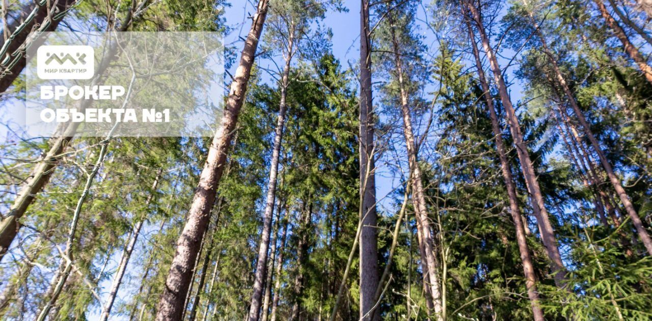 земля г Зеленогорск Курортный ул 1-я Лесная 18 фото 14