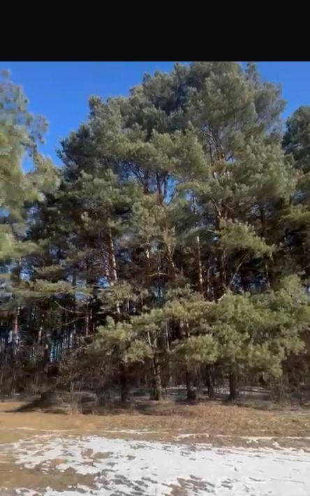 земля р-н Боровский г Боровск городское поселение Боровск фото 4