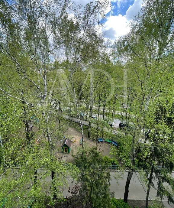 квартира г Пушкино ул Гоголя 3 Бабушкинская фото 15