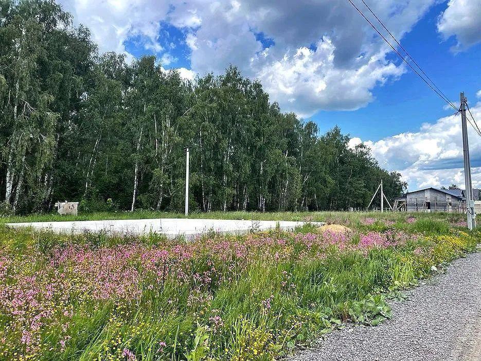 земля городской округ Сергиево-Посадский г Краснозаводск «Холмогоры» фото 6