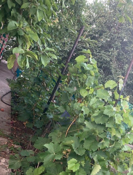 дом г Волгодонск ул Кооперативная фото 20