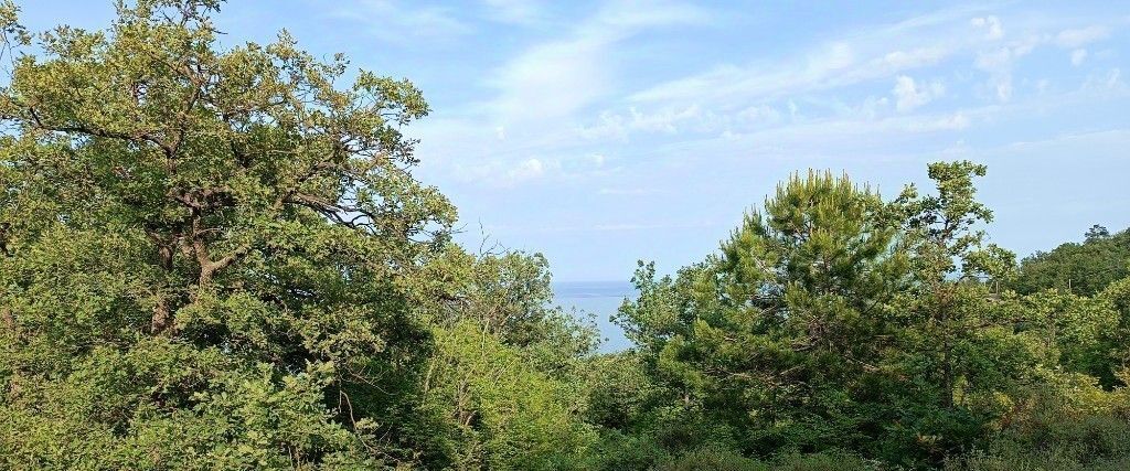 земля г Алушта с Малый Маяк фото 2