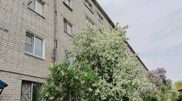 квартира г Курган ул Красномаячная 62 фото 11