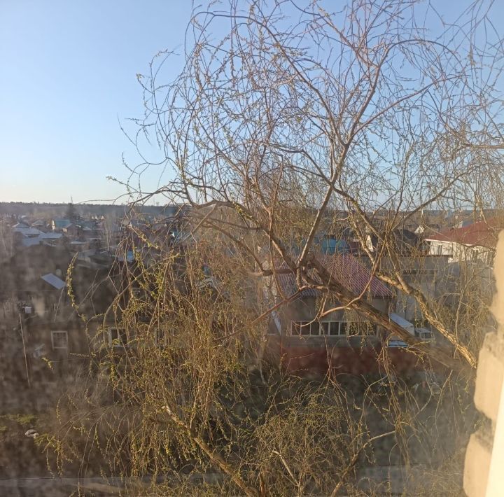 квартира г Бийск ул Ударная 29 фото 10