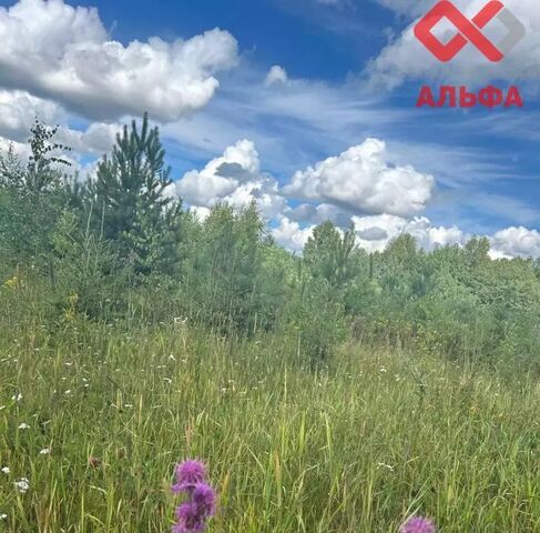 р-н Слободской д Бабичи Шиховское с пос фото