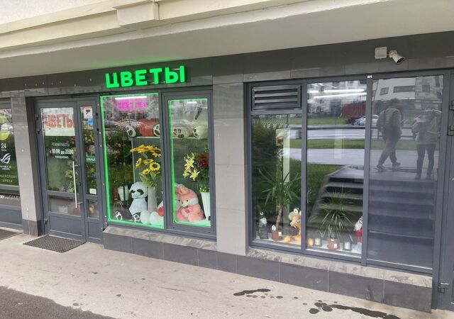 р-н Красносельский пр-кт Ветеранов 179 округ Сосновая Поляна фото
