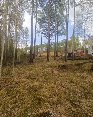 п Еловый Иркутск фото