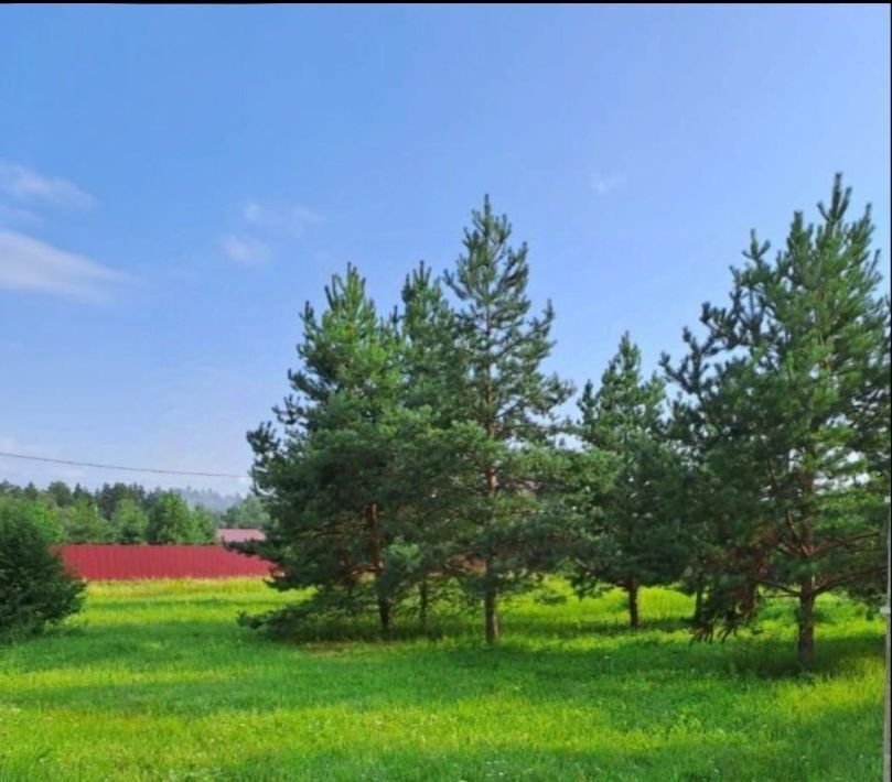 земля г Подольск п Сосновый Бор 59, Павлово-Посадский городской округ фото 3