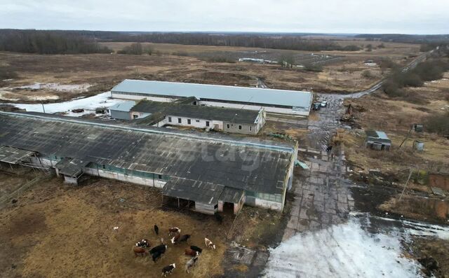 р-н Юхновский д Куркино ул Школьная 3 сельское поселение Куркино, Юхнов фото