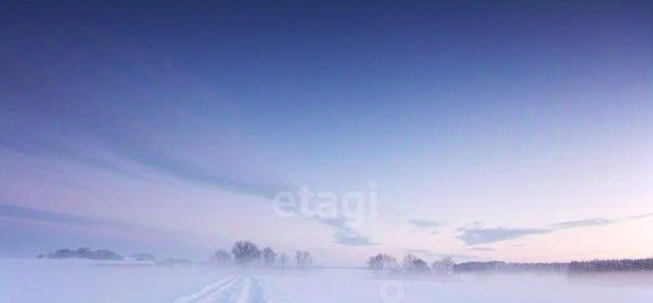 земля г Добрянка Совхоз Всходы за Ельниками кп фото 6