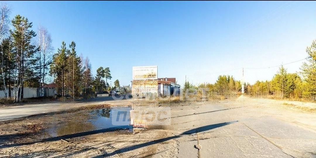 земля г Сургут № 41 Рябинка садоводческий потребительский кооператив, ул. Угловая, 212 фото 4