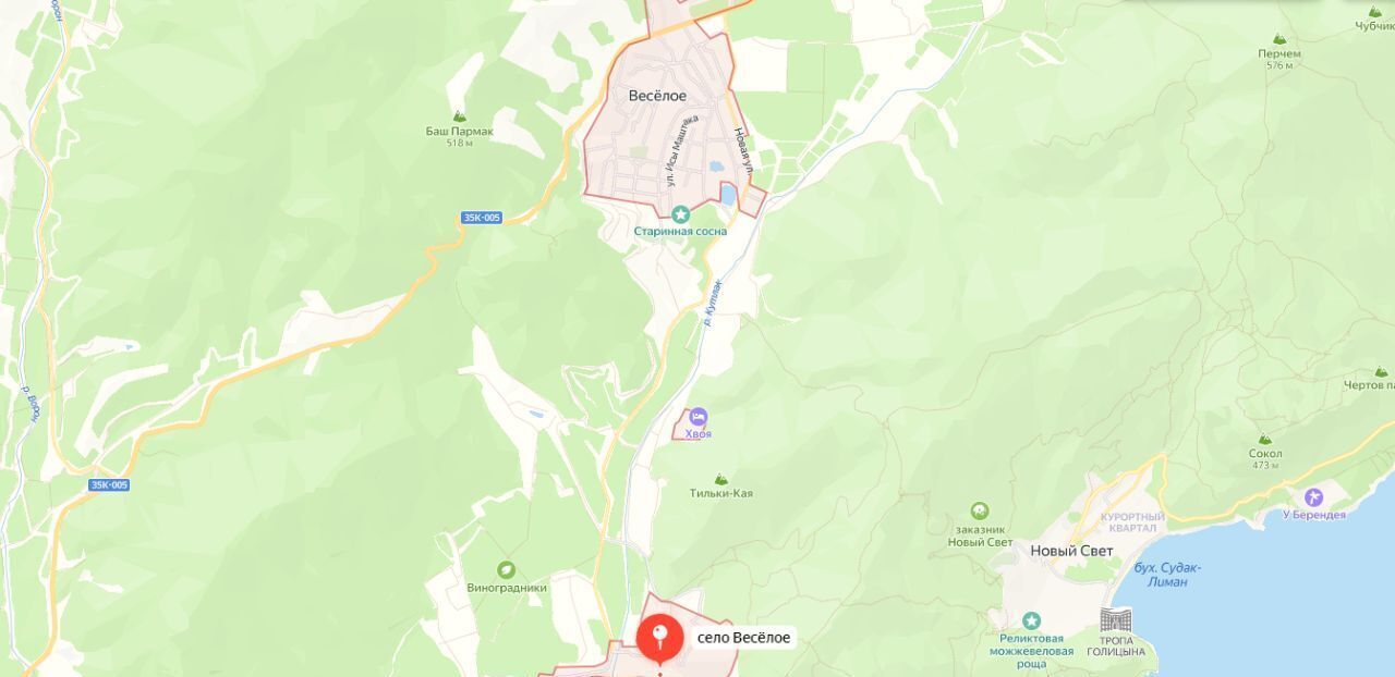 земля г Судак с Веселое ул Приморская 2 фото 3