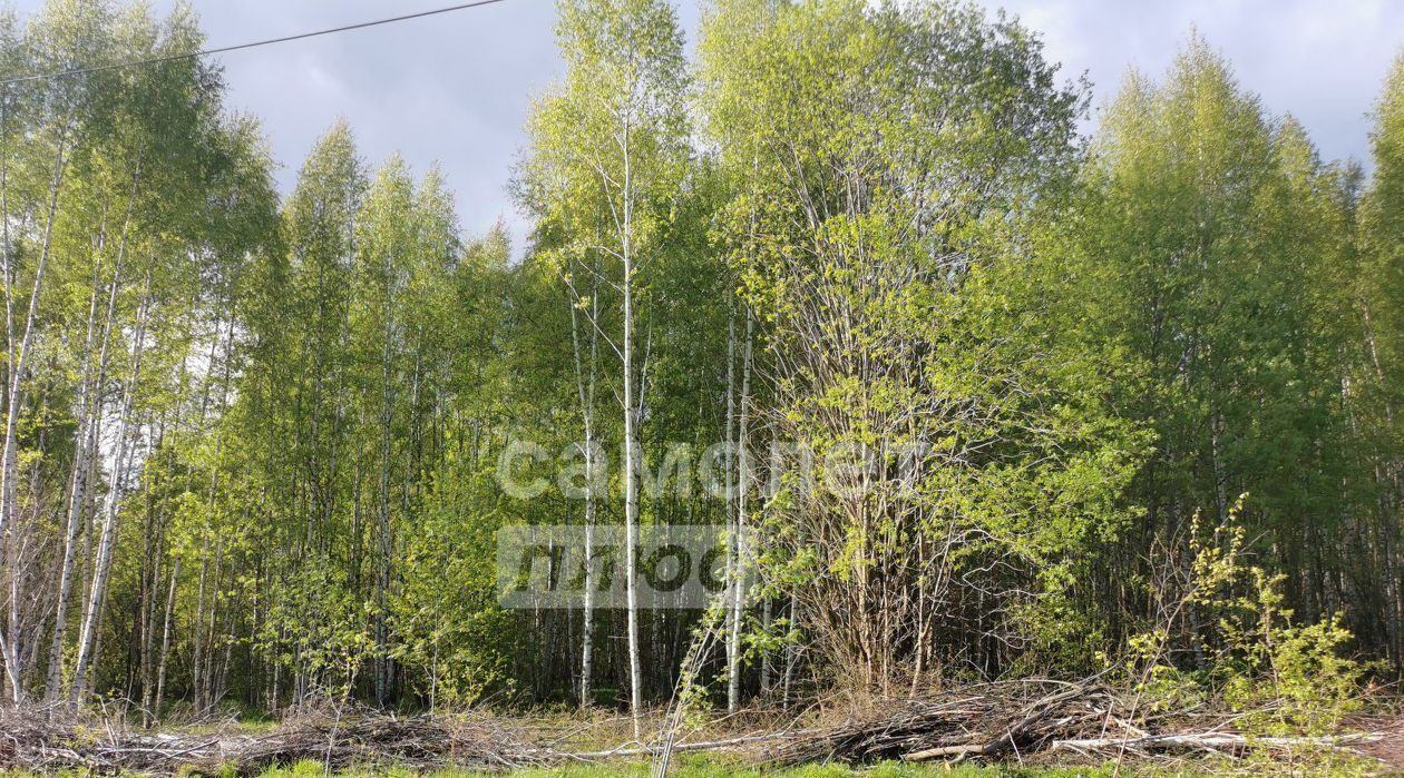земля р-н Чкаловский г Чкаловск фото 3