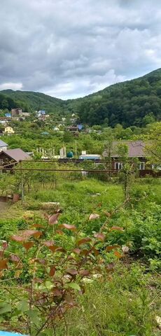 садовое товарищество Кавказ фото