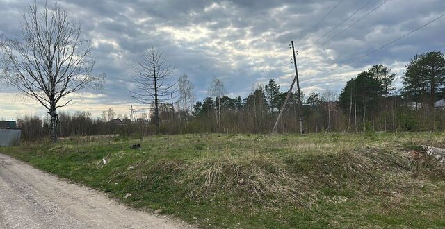 ул Ленина 7а муниципальное образование Березники, Березники фото
