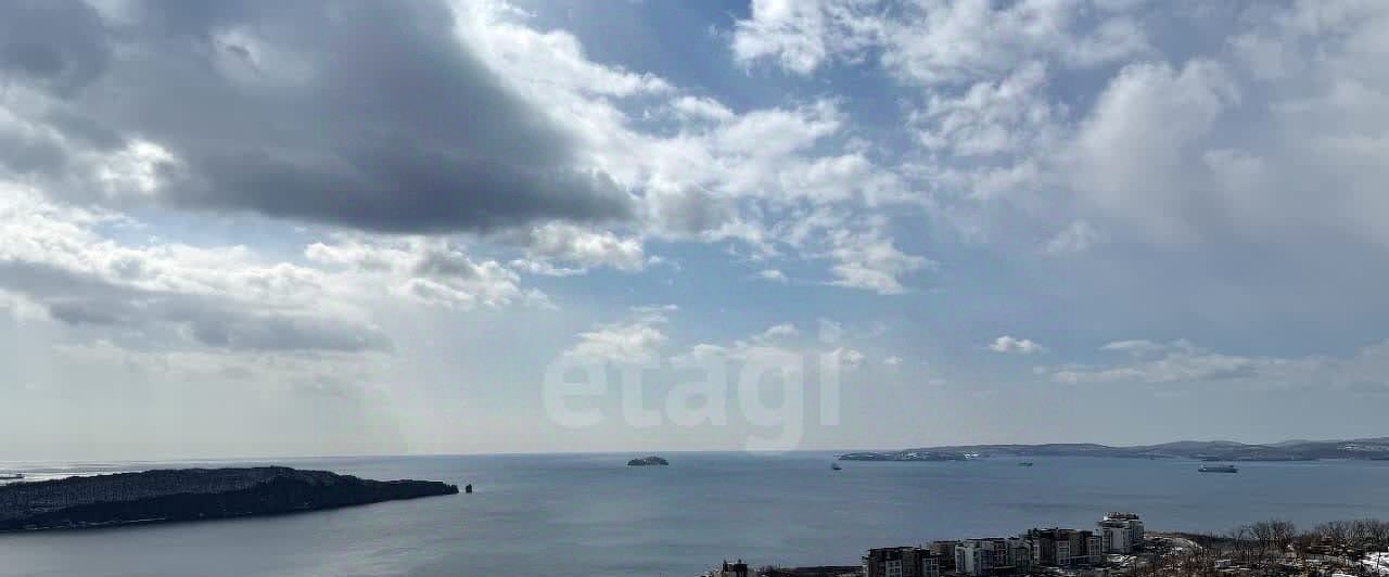 квартира г Владивосток р-н Первомайский ЖК Посейдония 1/2 фото 1