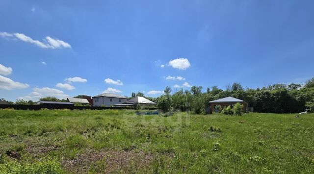 п Лазурный р-н Прикубанский фото