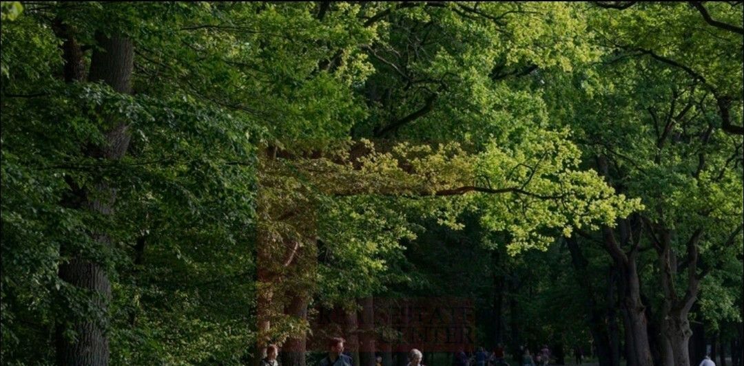 квартира г Калининград р-н Ленинградский ул Глинки 1 фото 21