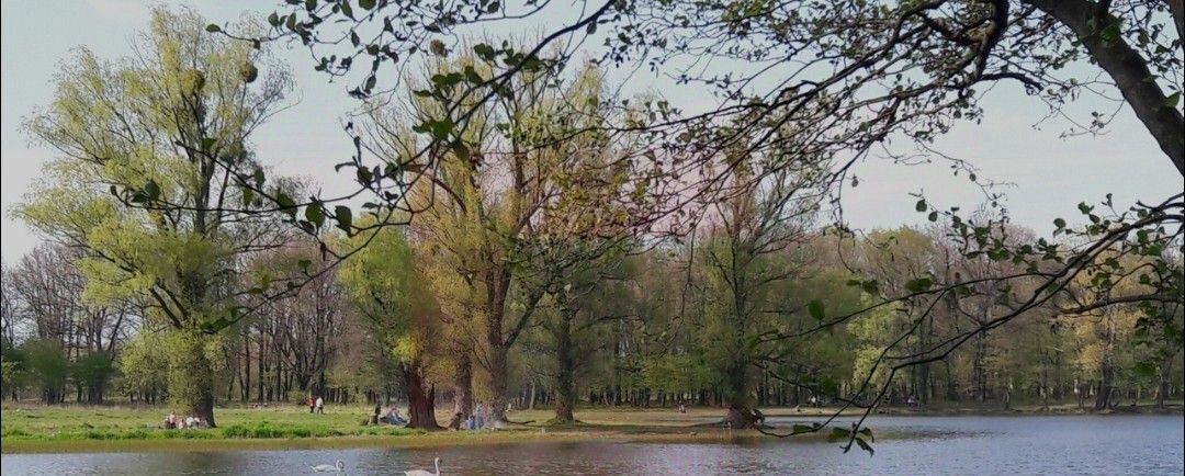 квартира г Калининград р-н Ленинградский ул Глинки 1 фото 25